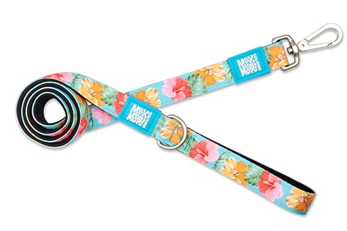 Max & Molly Klassische Hundeleine, bequemer Griff, strapazierfähiges und starkes Neopren-Gewebe, gebürstete silberfarbene Hardware, sicherer Karabinerhaken, oberer D-Ring für Zubehör, Max & Molly Klassische Hundeleine, bequemer Griff, strapazierfähiges und starkes Neopren-Gewebe, gebürstete silberfarbene Hardware, sicherer Karabinerhaken, oberer D-Ring für Zubehör, von Max & Molly Urban Pets