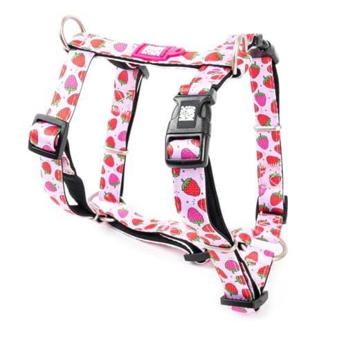 Max & Molly Hundegeschirr in H-Form, Ultrabequemes Geschirr Hund aus Neopren für sehr kleine Hunde, Strawberry Dream/XS, Gepolstert, Sicher & Ultraleicht – Komfort für deinen treuen Begleiter von Max & Molly Urban Pets