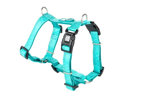 Max & Molly Hundegeschirr Matrix 2.0 Türkis/L in H-Form, für Hunde mit Gotcha! Smart ID, Geschirr Hund, Neopren Gepolstert & Reflektierende Nähte - Komfort für deinen treuen Begleiter Max & Molly Hundegeschirr Matrix 2.0 Türkis/L in H-Form, für Hunde mit Gotcha! Smart ID, Geschirr Hund, Neopren Gepolstert & Reflektierende Nähte - Komfort für deinen treuen Begleiter von Max & Molly Urban Pets