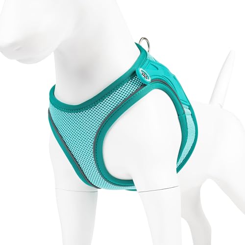 Max & Molly Hundegeschirr Matrix 2.0 Türkis/S als Air Vest Geschirr, Step-In Geschirr mit Gotcha! Smart ID, Außenseite aus leichtem Air Mesh Material - Komfort für deinen treuen Begleiter Max & Molly Hundegeschirr Matrix 2.0 Türkis/S als Air Vest Geschirr, Step-In Geschirr mit Gotcha! Smart ID, Außenseite aus leichtem Air Mesh Material - Komfort für deinen treuen Begleiter von Max & Molly Urban Pets