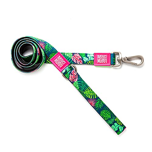 Max & Molly Klassische Hundeleine, Neopren, gepolstert, wasserdicht, maschinenwaschbar, für mittelgroße Hunde, Größe M Max & Molly Klassische Hundeleine, Neopren, gepolstert, wasserdicht, maschinenwaschbar, für mittelgroße Hunde, Größe M von Max & Molly Urban Pets