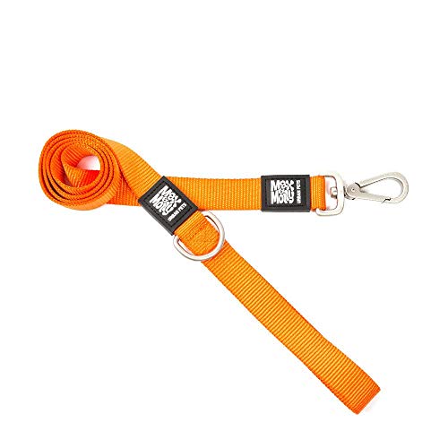 Max & Molly Pure Orange - Hochwertiges und farbenfrohes Design - Komfortabel - Sicher - gepolstertes Neopren - sportlich und elegant - Kurze Leinen, L Max & Molly Pure Orange - Hochwertiges und farbenfrohes Design - Komfortabel - Sicher - gepolstertes Neopren - sportlich und elegant - Kurze Leinen, L von Max & Molly Urban Pets