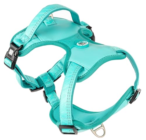 Max & Molly Sport Hundegeschirr Kleine Hunde mit Gotcha! Smart ID Sicherheitsanhänger, Matrix 2.0 Türkis/S, Geschirr Hund Gepolstert & Reflektierend - Komfort für deinen treuen Begleiter Max & Molly Sport Hundegeschirr Kleine Hunde mit Gotcha! Smart ID Sicherheitsanhänger, Matrix 2.0 Türkis/S, Geschirr Hund Gepolstert & Reflektierend - Komfort für deinen treuen Begleiter von Max & Molly Urban Pets