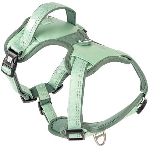 Max & Molly Sport Hundegeschirr Mittelgrosse Hunde mit Gotcha! Smart ID Sicherheitsanhänger, Matrix 2.0 Jade/M, Geschirr Hund Gepolstert & Reflektierend - Komfort für deinen treuen Begleiter Max & Molly Sport Hundegeschirr Mittelgrosse Hunde mit Gotcha! Smart ID Sicherheitsanhänger, Matrix 2.0 Jade/M, Geschirr Hund Gepolstert & Reflektierend - Komfort für deinen treuen Begleiter von Max & Molly Urban Pets