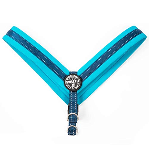 Max & Molly 4894512017665 Matrix Sky Blue Q-Fit Hundegeschirr Neopren Gepolstert Mit reflektierenden Nähten, M, 71 g von Max & Molly Urban Pets