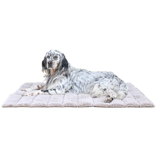 MaxCor Große Hundematte, rechteckig, beige, lindert und bewahrt die Gelenke – wendbares Hundebett, Sommer/Winter und leicht zu transportieren – verformt sich nicht und ist maschinenwaschbar MaxCor Große Hundematte, rechteckig, beige, lindert und bewahrt die Gelenke – wendbares Hundebett, Sommer/Winter und leicht zu transportieren – verformt sich nicht und ist maschinenwaschbar von MaxCor