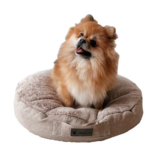 MaxCor Kissen für Hunde und Katzen, rund, aus Memory-Schaum, klein, beige, entlastet und bewahrt die Gelenke, wendbar, für den Winter, Sommerseite, verformt Sich Nicht und ist maschinenwaschbar MaxCor Kissen für Hunde und Katzen, rund, aus Memory-Schaum, klein, beige, entlastet und bewahrt die Gelenke, wendbar, für den Winter, Sommerseite, verformt Sich Nicht und ist maschinenwaschbar von MaxCor