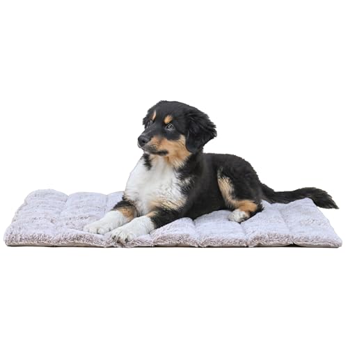 MaxCor Mittlere Hundematte, rechteckig, Beige – lindert und bewahrt die Gelenke – wendbares Hundebett, Sommer/Winter und leicht zu transportieren – verformt sich nicht und ist maschinenwaschbar von MaxCor