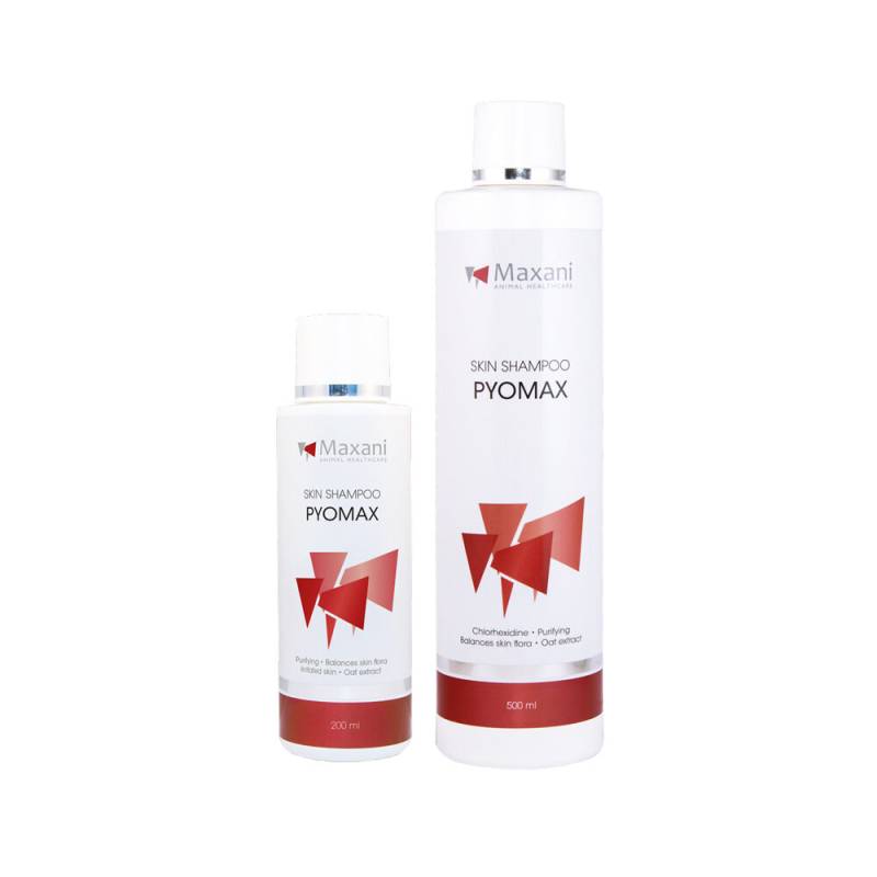 Maxani PyoMax Skin Shampoo - 200 ml von Maxani