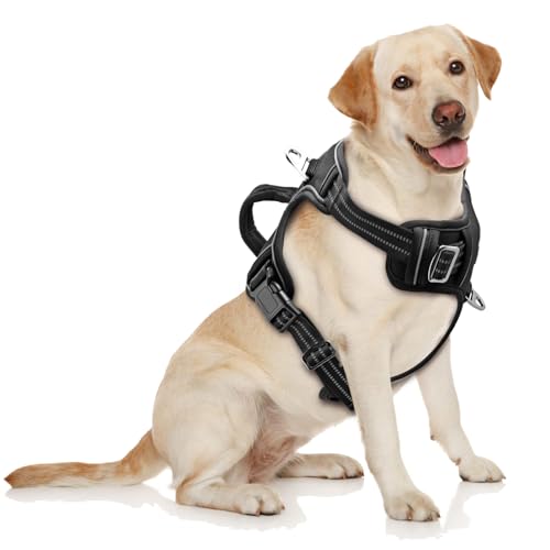 Hundegeschirr, Weste Hundegeschirr, Weste von Maxetodo