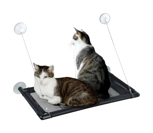 Maximex XXL-Hängematte, Fenster Liegematte für 2 Katzen, belastbar bis 35kg, zuverlässige große Saugnäpfe, inkl. kuschelig-warme Plüschauflage, 67x38 cm Maximex XXL-Hängematte, Fenster Liegematte für 2 Katzen, belastbar bis 35kg, zuverlässige große Saugnäpfe, inkl. kuschelig-warme Plüschauflage, 67x38 cm von Maximex