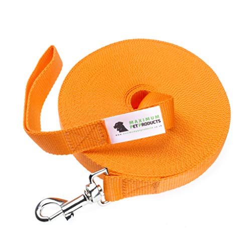 Hundeleine, Trainingsleine für Hunde, 20 m, Orange von Maximum Pet Products