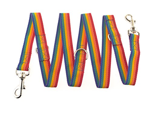 Maximum Pet Products Trainingsleine für Hunde, Polizei-Stil, Regenbogenfarben, 1,8 m, mehrere Farben Maximum Pet Products Trainingsleine für Hunde, Polizei-Stil, Regenbogenfarben, 1,8 m, mehrere Farben von Maximum Pet Products