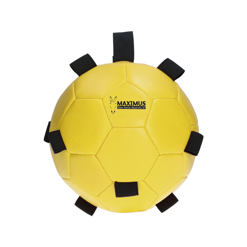 Excellent Horse Fun Play Ball - Rosa Excellent Horse Fun Play Ball - Rosa von Maximus