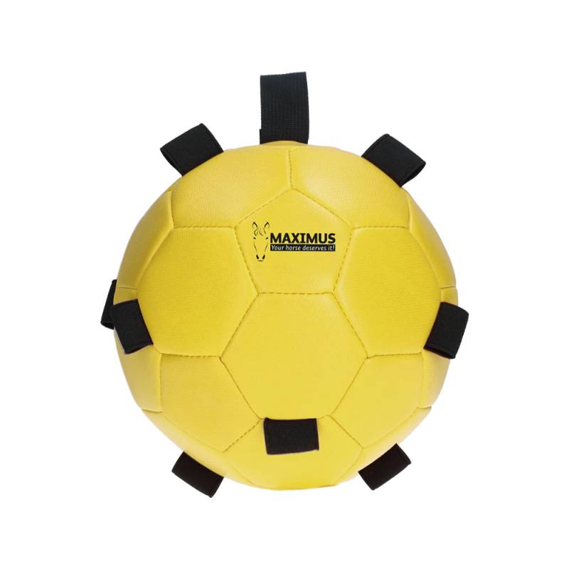 Excellent Horse Fun Play Ball - Rosa Excellent Horse Fun Play Ball - Rosa von Maximus