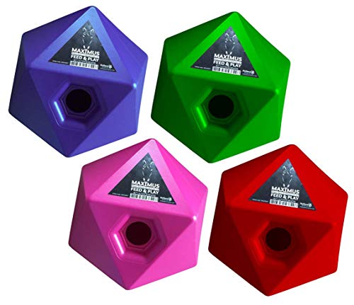 Hofman Lieve Maximus Feed & Play - Size OneSize Hofman Lieve Maximus Feed & Play - Size OneSize von Maximus