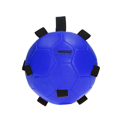 Maximus Fun Play Ball - Blau von Maximus