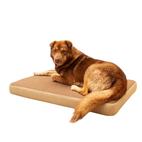 Großes Hundebett, 80 x 60 x 8,5 cm, orthopädische Matratze für große Hunde mit Memory-Schaum, wasserabweisender und waschbarer Bezug (Braun, L) von Maxtin
