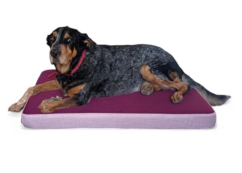 Maxtin Extra großes Hundebett, 110 x 75 x 10 cm, viskoelastisch, orthopädisch, waschbar, wasserabweisend und abnehmbar, ideal für große Hunde von Maxtin