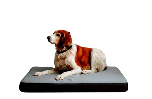 Maxtin Hundebett, extra groß, 110 x 75 x 10 cm, orthopädische Matratze für große Hunde, mit viskoelastischem Schaumstoff, wasserabweisender und waschbarer Bezug (Grau, XL) von Maxtin