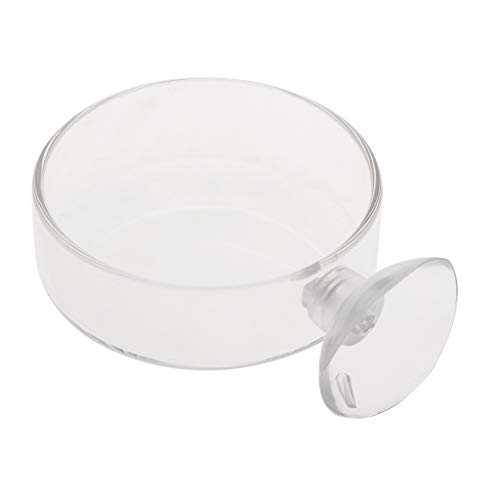 Maxtonser Aquarium Shrimp Feeding Dish with Suction Cup High Transparent Glass Bottom Feeder Food Bowl 2.4x0.7 Inch Round Tray,Bowl Dish von Maxtonser