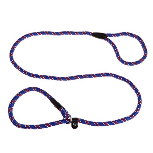 Maxtonser Hundeschlupf-Trainingsleine aus Nylonseil, für kleine und große Hunde, Outdoor-Trainingsleine, 134 cm Maxtonser Hundeschlupf-Trainingsleine aus Nylonseil, für kleine und große Hunde, Outdoor-Trainingsleine, 134 cm von Maxtonser