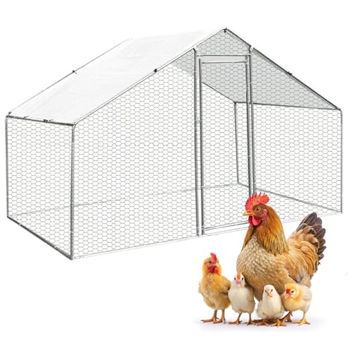 MaxxPet Hühnerstall Winterfest - Voliere Hühner Outdoor - 300x200x300cm - Hühnerhaus und Hühnergehege - Freilaufgehege Hühner Garten - Chicken Coop - Hochwertig Metall von MaxxPet