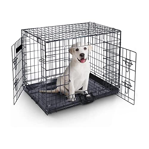 MaxxPet Hundebox Faltbar - Hundekäfig für Zuhause - 2 Türen - Hundetransportbox - Gitterbox Hund - Transportbox Hund & Katze - Faltbarer Schwarzer Metall - 78x48x56 cm - Schwarz von MaxxPet