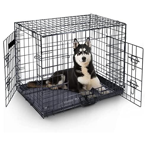 MaxxPet Hundebox - Hundekäfig - Transportbox Hund - Klappbar mit 2 Türen - 122 x 74 x 81 cm von MaxxPet