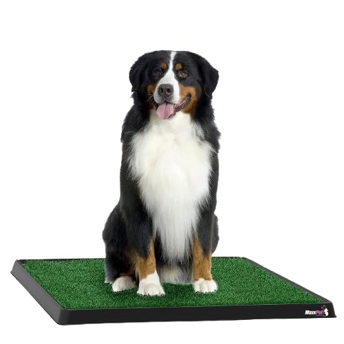 MaxxPet Hundetoilette Kunstrasen - Trainingskissen Sauberkeit - Sauberkeitstraining Hund - 64x52cm - Zusätzliche Plaids inklusive von MaxxPet