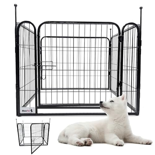 MaxxPet Welpenauslauf - Faltbarer Welpenlaufstall aus hochwertigem Stahl - Laufstall Hund - Verstellbares Freilaufgehege - Welpenzaun 4-Teilig - 76x61 cm - Welpengehege MaxxPet Welpenauslauf - Faltbarer Welpenlaufstall aus hochwertigem Stahl - Laufstall Hund - Verstellbares Freilaufgehege - Welpenzaun 4-Teilig - 76x61 cm - Welpengehege von MaxxPet