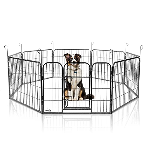 MaxxPet Welpenauslauf - Laufstall Hund - Welpenlaufstall Hundegitter Wohnung - Faltbarer Außen Laufstall - verstellbares Außengehege - 8 Paneele - 80x60 cm von MaxxPet