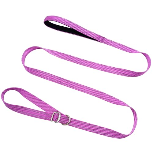 MayPaw Retrieverleine, 1,9 cm breit, reflektierendes Nylon, Trainingsleine mit gepolstertem Griff, 1,8 m flache Haustierleine für Hundefriseure, Unterstände, Rettungen, Tierärzte oder MayPaw Retrieverleine, 1,9 cm breit, reflektierendes Nylon, Trainingsleine mit gepolstertem Griff, 1,8 m flache Haustierleine für Hundefriseure, Unterstände, Rettungen, Tierärzte oder von MayPaw