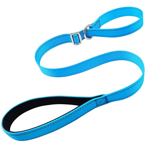 MayPaw Retrieverleine für Hunde, 90 cm, reflektierendes Nylon, kein Ziehen, mit weichem Griff, für große und mittelgroße Hunde, Tierarzt, Hundepflege, Kindertagesstätte, kurze Retrieverleine (90 x 2,5 MayPaw Retrieverleine für Hunde, 90 cm, reflektierendes Nylon, kein Ziehen, mit weichem Griff, für große und mittelgroße Hunde, Tierarzt, Hundepflege, Kindertagesstätte, kurze Retrieverleine (90 x 2,5 von MayPaw