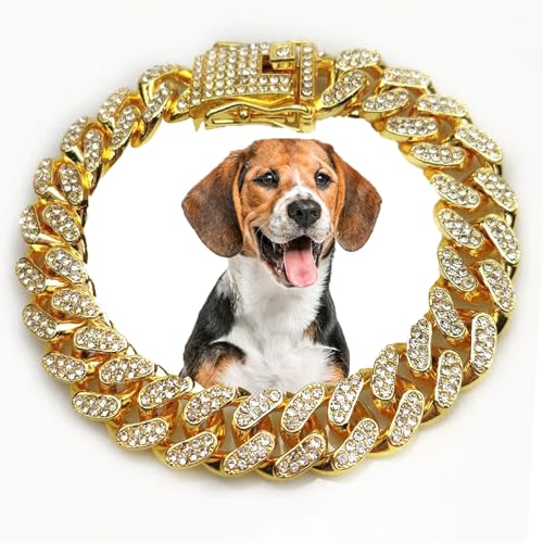 Luxuriöses goldfarbenes Kristall-Hundehalsband – Designer-Halskette mit kubanischen Gliedern, Metallkette mit sicherer Schnalle, stilvolles Schmuckzubehör für kleine, mittelgroße und große Hunde und von Maydueosiy