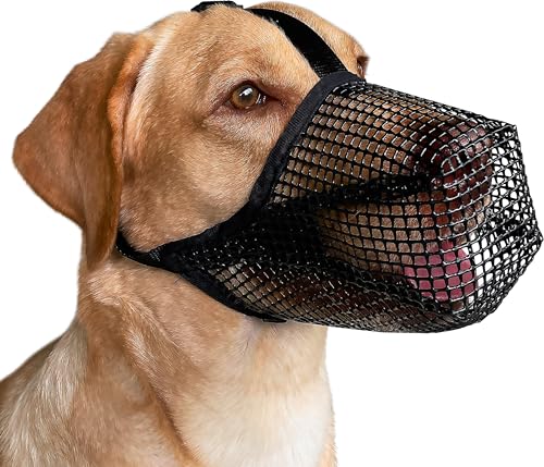 Hundemaulkorb, Maulkorb mit weichem Netzbezug für kleine, mittelgroße und große Hunde, vergifteter Köderschutz, Maulkorb mit verstellbaren Riemen, verhindert Beißen, Kauen und Lecken Hundemaulkorb, Maulkorb mit weichem Netzbezug für kleine, mittelgroße und große Hunde, vergifteter Köderschutz, Maulkorb mit verstellbaren Riemen, verhindert Beißen, Kauen und Lecken von Mayerzon