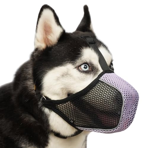 Hundemaulkorb, weicher Netzmaulkorb für große, mittelgroße und kleine Hunde zum Fressen, Fellpflege, Beißen, Kauen, atmungsaktiver Maulkorb mit Halsband für Labrador Retriever Poodle Husky Hundemaulkorb, weicher Netzmaulkorb für große, mittelgroße und kleine Hunde zum Fressen, Fellpflege, Beißen, Kauen, atmungsaktiver Maulkorb mit Halsband für Labrador Retriever Poodle Husky von Mayerzon