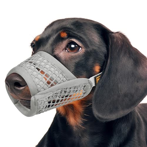Mayerzon Hund Maulkorb, Weiche Mesh Maulkörbe für Kleine Hunde Chihuahua Spielzeug Pudel Dackel, Atmungsaktiver Hund Mundschutz zum Beißen Kauen Fellpflege, Erlauben Hecheln Trinken (M, Dunkelgrau) Mayerzon Hund Maulkorb, Weiche Mesh Maulkörbe für Kleine Hunde Chihuahua Spielzeug Pudel Dackel, Atmungsaktiver Hund Mundschutz zum Beißen Kauen Fellpflege, Erlauben Hecheln Trinken (M, Dunkelgrau) von Mayerzon