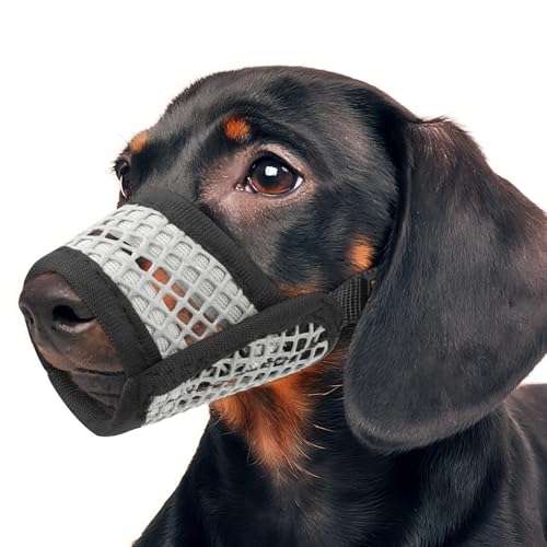 Mayerzon Hundemaulkorb, weiche Netzmaulkörbe für kleine Hunde, Chihuahua, Spielzeug, Pudel, Dackel, atmungsaktiver Hunde-Mundschutz zum Beißen, Kauen, Fellpflege, Erlaubt Hecheln trinken (M, schwarzer Mayerzon Hundemaulkorb, weiche Netzmaulkörbe für kleine Hunde, Chihuahua, Spielzeug, Pudel, Dackel, atmungsaktiver Hunde-Mundschutz zum Beißen, Kauen, Fellpflege, Erlaubt Hecheln trinken (M, schwarzer von Mayerzon
