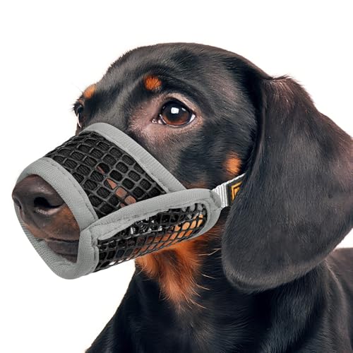 Mayerzon Hundemaulkorb, weiche Netzmaulkörbe für kleine Hunde, Chihuahua, Spielzeug, Pudel, Dackel, atmungsaktiver Hunde-Mundschutz zum Beißen, Kauen, Fellpflege, Erlaubt Hecheln trinken (S, grauer Mayerzon Hundemaulkorb, weiche Netzmaulkörbe für kleine Hunde, Chihuahua, Spielzeug, Pudel, Dackel, atmungsaktiver Hunde-Mundschutz zum Beißen, Kauen, Fellpflege, Erlaubt Hecheln trinken (S, grauer von Mayerzon
