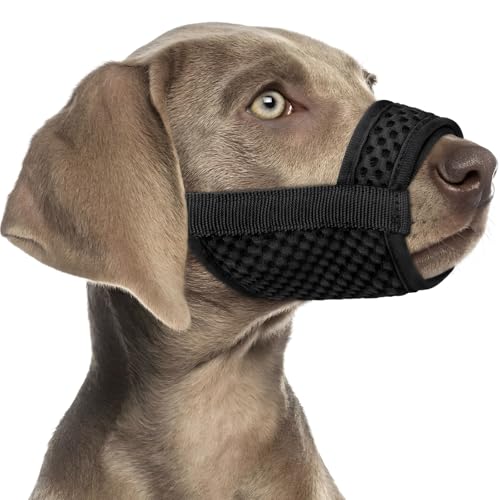 Mayerzon Hundemaulkorb mit Klettverschluss für große, mittelgroße und kleine Hunde, patentiertes weiches Netzgewebe, Beagle, Labrador, Welpen, Maulkörbe zum Beißen, Kauen, Fellpflege, atmungsaktiv Mayerzon Hundemaulkorb mit Klettverschluss für große, mittelgroße und kleine Hunde, patentiertes weiches Netzgewebe, Beagle, Labrador, Welpen, Maulkörbe zum Beißen, Kauen, Fellpflege, atmungsaktiv von Mayerzon