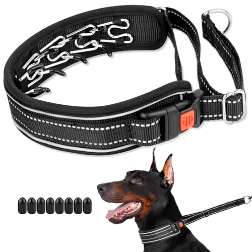 Mayerzon Martingale Anti-Zieh-Hundehalsband, reflektierendes Wanderhalsband für große und mittelgroße Hunde, Pitbull, belgischer Malinois, Dobermann, der zieht, Anti-Zieh-Hundehalsband mit Schnalle Mayerzon Martingale Anti-Zieh-Hundehalsband, reflektierendes Wanderhalsband für große und mittelgroße Hunde, Pitbull, belgischer Malinois, Dobermann, der zieht, Anti-Zieh-Hundehalsband mit Schnalle von Mayerzon