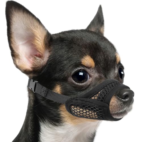 Mayerzon Maulkorb aus Netzstoff für kurze Schnauze und kleine Hunde, Anti-Beißen, Fokus auf brachyzephale Hunde wie Chihuahua, Yorkshire, Malteser, atmungsaktives Gewebe, Öffnung vorne, ermöglicht Mayerzon Maulkorb aus Netzstoff für kurze Schnauze und kleine Hunde, Anti-Beißen, Fokus auf brachyzephale Hunde wie Chihuahua, Yorkshire, Malteser, atmungsaktives Gewebe, Öffnung vorne, ermöglicht von Mayerzon