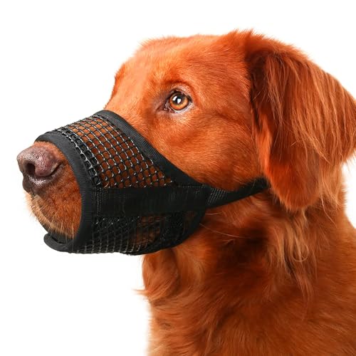 Mayerzon Maulkorb für Hunde, atmungsaktives Netzgewebe, für kleine, mittelgroße und große Hunde, Jack Russell Terrier, Dackel, Beagle, Golden Retriever zum Beißen, Kauen, Fellpflege, mit verstellbarem Mayerzon Maulkorb für Hunde, atmungsaktives Netzgewebe, für kleine, mittelgroße und große Hunde, Jack Russell Terrier, Dackel, Beagle, Golden Retriever zum Beißen, Kauen, Fellpflege, mit verstellbarem von Mayerzon