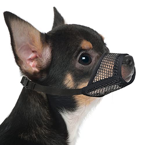 Mayerzon Maulkorb für Hunde, weicher Netz-Maulkorb für kleine, mittelgroße und große Hunde, Chihuahua, Pudel, Husky, Labrador, Retriever, atmungsaktiver Hunde-Mundschutz zum Beißen, Kauen, Pflegen, Mayerzon Maulkorb für Hunde, weicher Netz-Maulkorb für kleine, mittelgroße und große Hunde, Chihuahua, Pudel, Husky, Labrador, Retriever, atmungsaktiver Hunde-Mundschutz zum Beißen, Kauen, Pflegen, von Mayerzon
