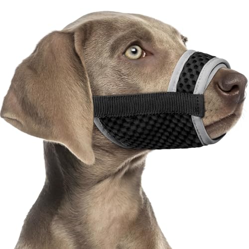Mayerzon Maulkorb für Hunde mit Haken und Schlaufe, patentierter weicher Netz-Maulkorb für große, mittelgroße und kleine Hunde, Beagle, Labrador, um Beißen und Kauen zu verhindern, atmungsaktiv Mayerzon Maulkorb für Hunde mit Haken und Schlaufe, patentierter weicher Netz-Maulkorb für große, mittelgroße und kleine Hunde, Beagle, Labrador, um Beißen und Kauen zu verhindern, atmungsaktiv von Mayerzon