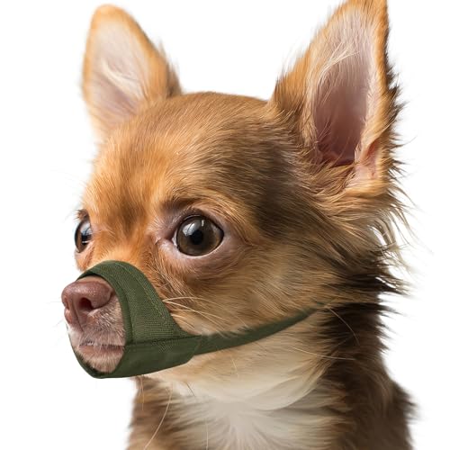 Mayerzon Maulkorb für Hunde mit kurzer Schnauze, Kleiner Maulkorb für Chihuahua, American Bully Boxer Welpen, weicher Stoff, Mundbedeckung für Tierarztbesuche und verhindert Beißen oder Kauen. Mayerzon Maulkorb für Hunde mit kurzer Schnauze, Kleiner Maulkorb für Chihuahua, American Bully Boxer Welpen, weicher Stoff, Mundbedeckung für Tierarztbesuche und verhindert Beißen oder Kauen. von Mayerzon