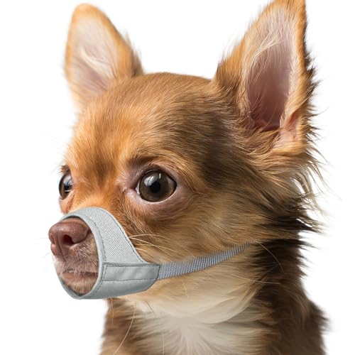 Mayerzon Maulkorb für Hunde mit kurzer Schnauze, Kleiner Maulkorb für Chihuahua, American Bully Boxer Welpen, weicher Stoff, Mundbedeckung für Tierarztbesuche und verhindert Beißen oder Kauen. Mayerzon Maulkorb für Hunde mit kurzer Schnauze, Kleiner Maulkorb für Chihuahua, American Bully Boxer Welpen, weicher Stoff, Mundbedeckung für Tierarztbesuche und verhindert Beißen oder Kauen. von Mayerzon