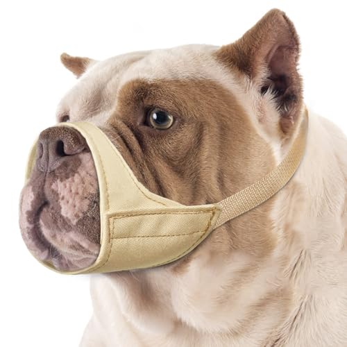 Mayerzon Maulkorb für Hunde mit kurzer Schnauze, Kleiner Maulkorb für Chihuahua, American Bully Boxer Welpen, weicher Stoff, Mundbedeckung für Tierarztbesuche und verhindert Beißen oder Kauen. Mayerzon Maulkorb für Hunde mit kurzer Schnauze, Kleiner Maulkorb für Chihuahua, American Bully Boxer Welpen, weicher Stoff, Mundbedeckung für Tierarztbesuche und verhindert Beißen oder Kauen. von Mayerzon