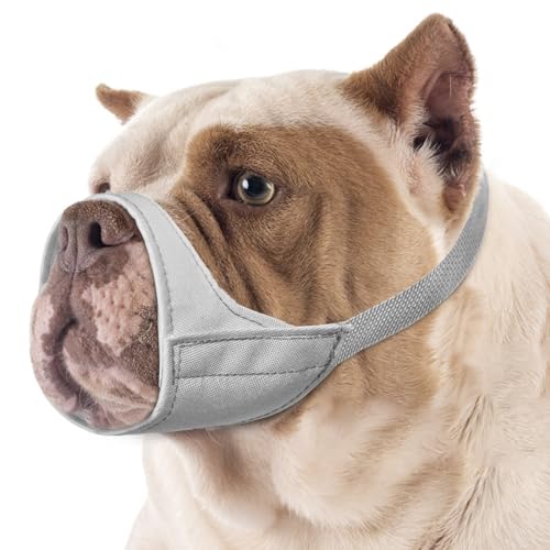 Mayerzon Maulkorb für Hunde mit kurzer Schnauze, Kleiner Maulkorb für Chihuahua, American Bully Boxer Welpen, weicher Stoff, Mundbedeckung für Tierarztbesuche und verhindert Beißen oder Kauen. Mayerzon Maulkorb für Hunde mit kurzer Schnauze, Kleiner Maulkorb für Chihuahua, American Bully Boxer Welpen, weicher Stoff, Mundbedeckung für Tierarztbesuche und verhindert Beißen oder Kauen. von Mayerzon